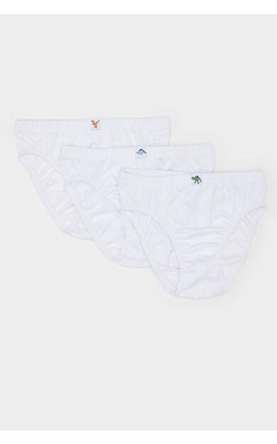 Erkek Çocuk 3'lü Slip Külot