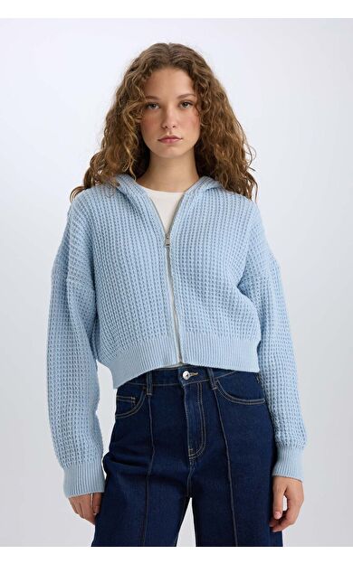 DeFacto Regular Fit Kapüşonlu Fermuarlı Triko Hırka E2269AXNSBE698