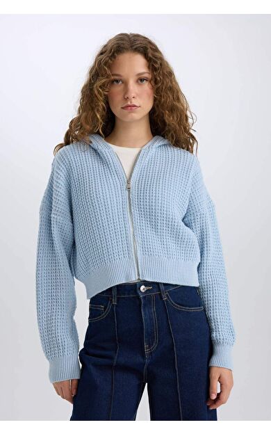 DeFacto Regular Fit Kapüşonlu Fermuarlı Triko Hırka E2269AXNSBE698