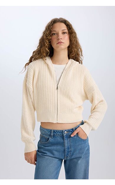 DeFacto Regular Fit Kapüşonlu Fermuarlı Triko Hırka E2269AXNSER219