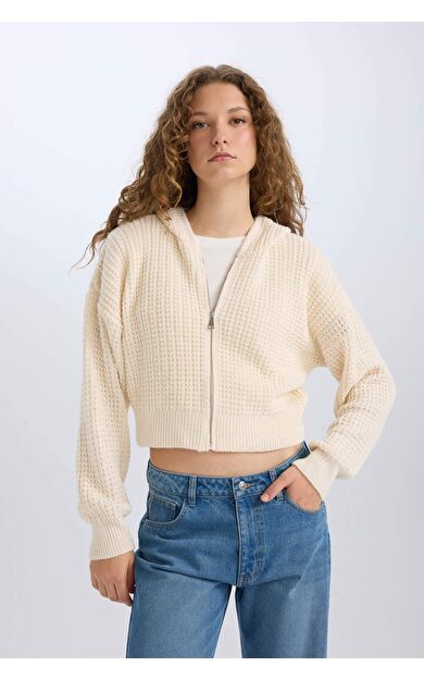 DeFacto Regular Fit Kapüşonlu Fermuarlı Triko Hırka E2269AXNSER219