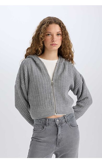 DeFacto Regular Fit Kapüşonlu Fermuarlı Triko Hırka E2269AXNSGR90