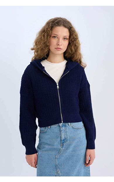 DeFacto Regular Fit Kapüşonlu Fermuarlı Triko Hırka E2269AXNSNV215