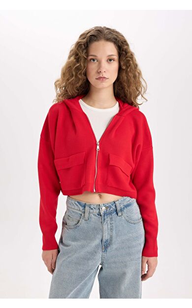 DeFacto Regular Fit Kapüşonlu Basic Düz Fermuarlı Triko Hırka E2270AXNSRD335