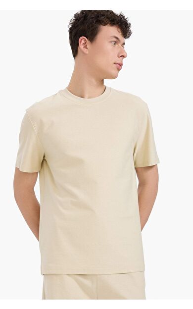 DeFacto %100 Pamuk Regular Fit Bisiklet Yaka Kısa Kollu Ağır Kumaş Tişört E2589AX25SMBG430