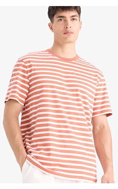 DeFacto Regular Fit Bisiklet Yaka Kısa Kollu Pamuklu Çizgili Tişört E2637AX25SMOG611