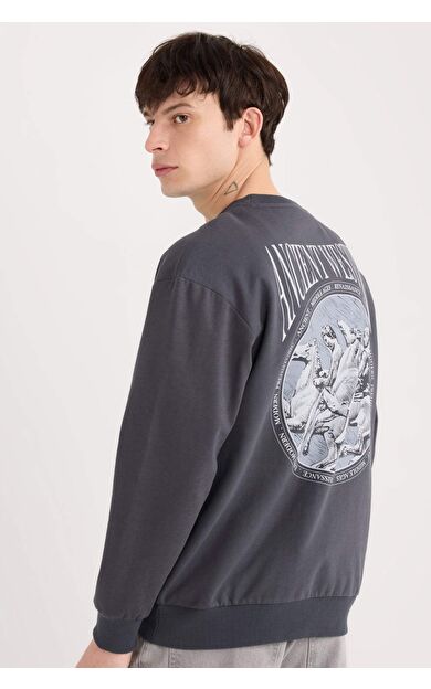DeFacto Boxy Fit Bisiklet Yaka Baskılı Sweatshirt E3206AX24WNAR63