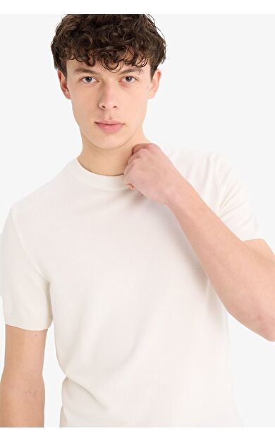 DeFacto Standart Fit Bisiklet Yaka Kısa Kollu Triko Tişört E3239AX25SPWT32