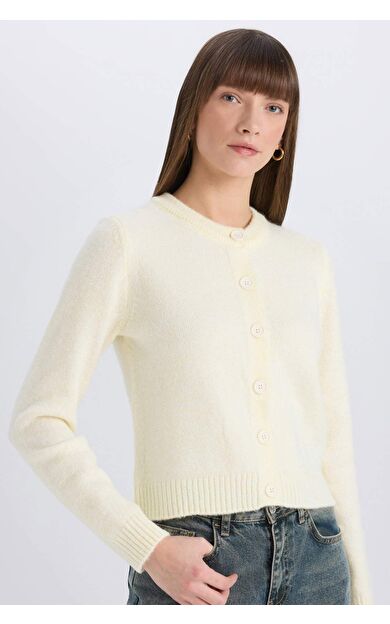 DeFacto Regular Fit Bisiklet Yaka Basic Düz Düğmeli Triko Hırka E3654AX25SPYL514