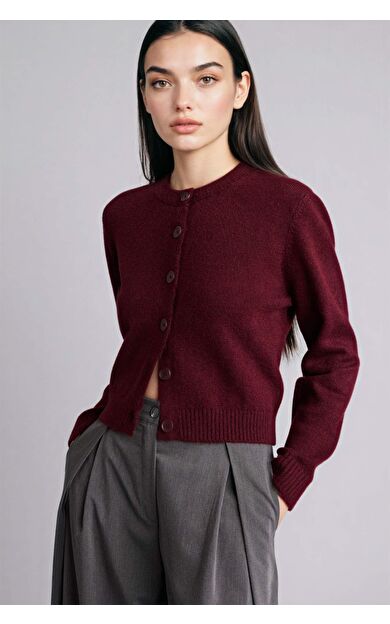 Regular Fıt Bisiklet Yaka Hırka