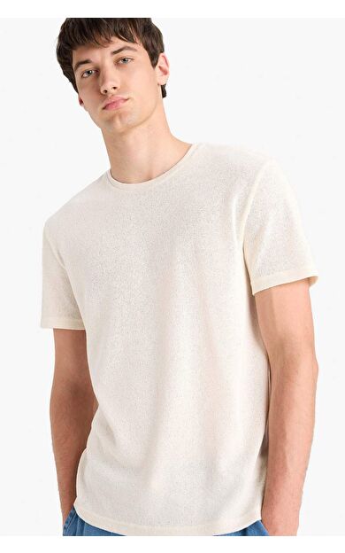 DeFacto Regular Fit Bisiklet Yaka Kısa Kollu Tişört E3963AX25SMWT46