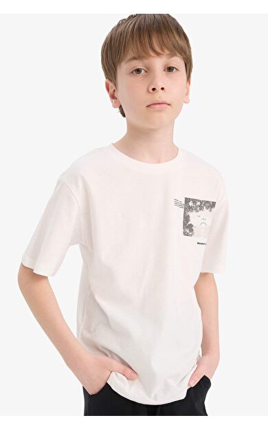 DeFacto Erkek Çocuk Regular Fit Bisiklet Yaka Kısa Kollu Tişört E4160A825SMER105