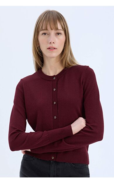 DeFacto Regular Fit Bisiklet Yaka Hırka E5032AX24WNBR467