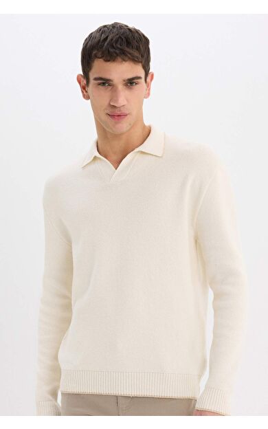 DeFacto Standart Fit Polo Yaka Triko Kazak E5220AX24WNER100