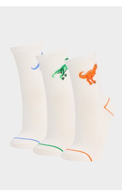 DeFacto Erkek Çocuk 3'lü Pamuklu Uzun Çorap E5519A8NSWT1