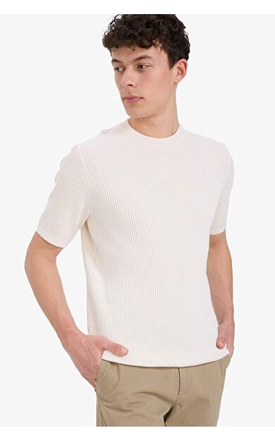 DeFacto Standart Fit Bisiklet Yaka Kısa Kollu Triko Tişört E5765AX25SMER100