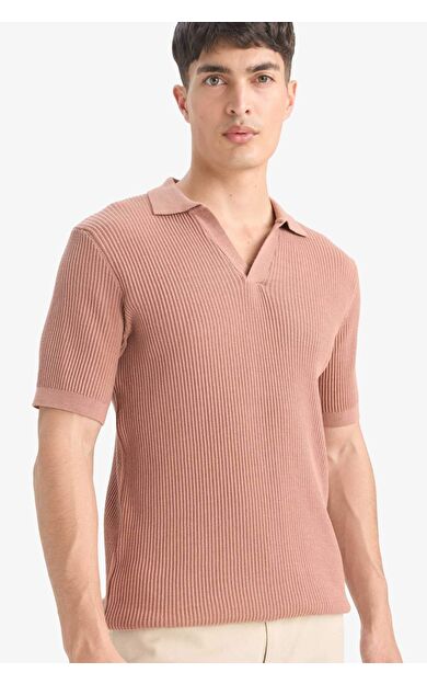 DeFacto %100 Pamuk Standart Fit Kısa Kollu Triko Polo Tişört E5860AX25SMBN300