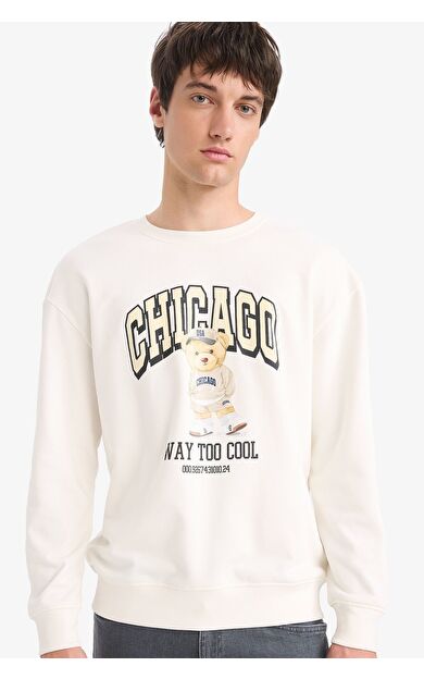 DeFacto Boxy Fit Bisiklet Yaka Baskılı Sweatshirt E6430AX25AUER105