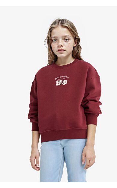 DeFacto Kız Çocuk Relax Fit Bisiklet Yaka Baskılı İçi Yumuşak Tüylü Sweatshirt E6779A825WNBR469