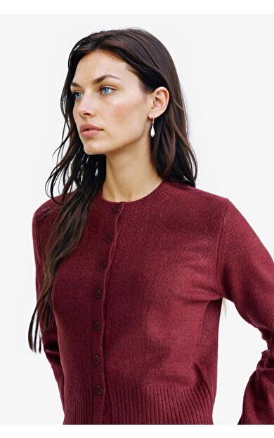 Coool Slim Fit Dar Kesim Bisiklet Yaka Hırka E8236AX25WNBR466