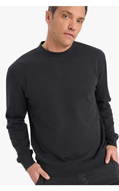 DeFacto %100 Pamuk Regular Fit Bisiklet Yaka Sweatshirt E8339AX25AUAR235