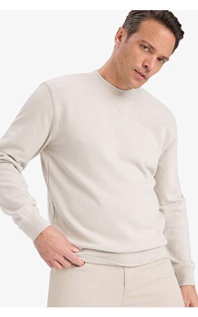 DeFacto %100 Pamuk Regular Fit Bisiklet Yaka Sweatshirt E8339AX25AUBG766