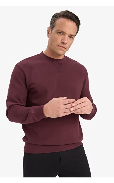 DeFacto %100 Pamuk Regular Fit Bisiklet Yaka Sweatshirt E8339AX25AUBR464
