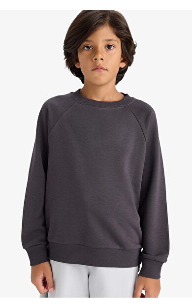 DeFacto Erkek Çocuk Regular Fit Bisiklet Yaka Kalın Sweatshirt Kumaşı Sweatshirt E8415A825AUAR138