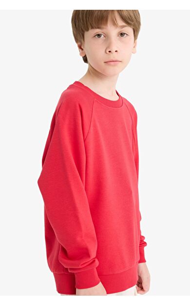 DeFacto Erkek Çocuk Bisiklet Yaka Basic Düz Sweatshirt E8415A825AURD282
