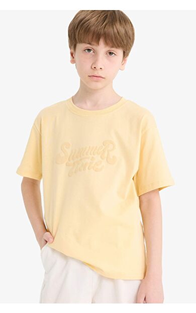 DeFacto Erkek Çocuk Regular Fit Bisiklet Yaka Nakışlı Kısa Kollu Tişört