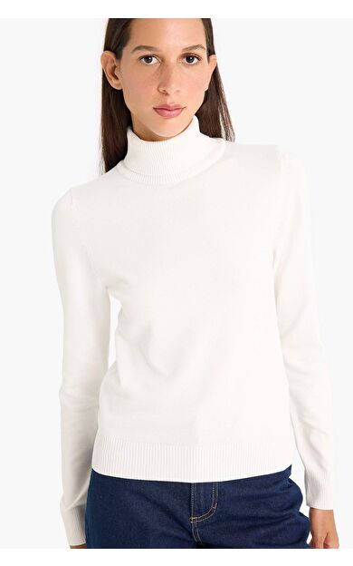 Regular Fit Yarım Balıkçı Yaka Kazak E8498AX25WNER190