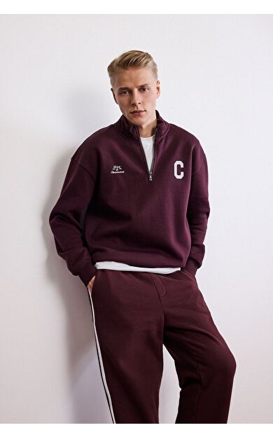 DeFacto Boxy Fit Dik Yaka Fermuarlı Baskılı Sweatshirt E9415AX25AUBR230