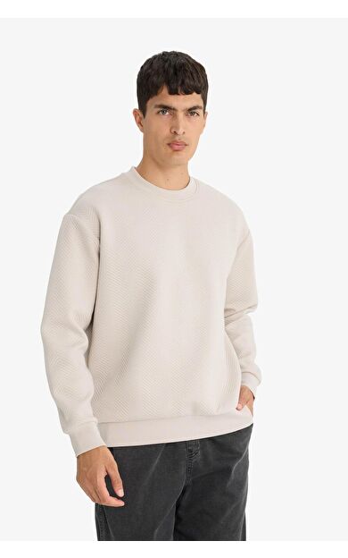DeFacto Relax Fit Bisiklet Yaka Sweatshirt