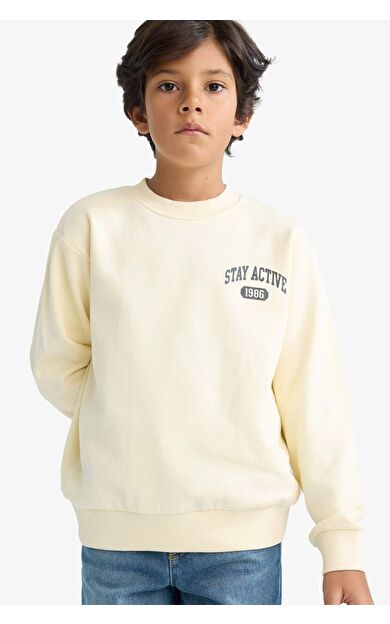 DeFacto Erkek Çocuk Regular Fit Bisiklet Yaka Baskılı İçi Yumuşak Tüylü Kalın Sweatshirt Kumaşı Sweatshirt