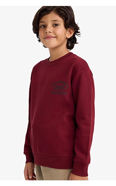 Erkek Çocuk Regular Fit Bisiklet Yaka Basic Düz İçi Yumuşak Tüylü Kalın Sweatshirt Kumaşı Sweatshirt