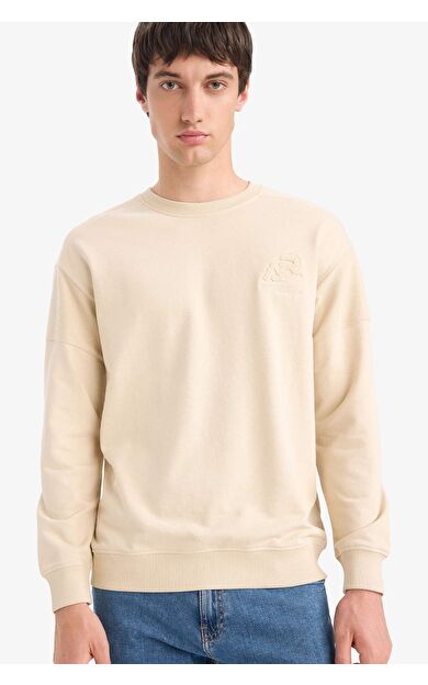DeFacto Boxy Fit Bisiklet Yaka Sweatshirt F0118AX25AUBG359