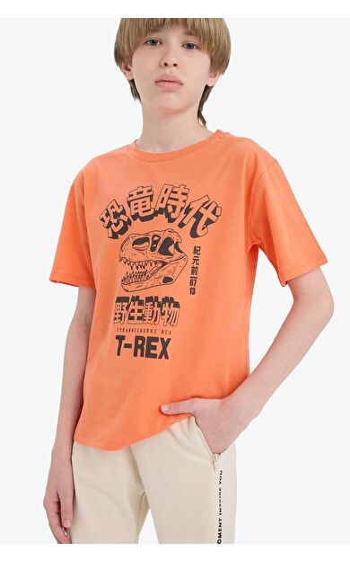 DeFacto Erkek Çocuk New Regular Fit Bisiklet Yaka Kısa Kollu Tişört F0180A825SMOG34