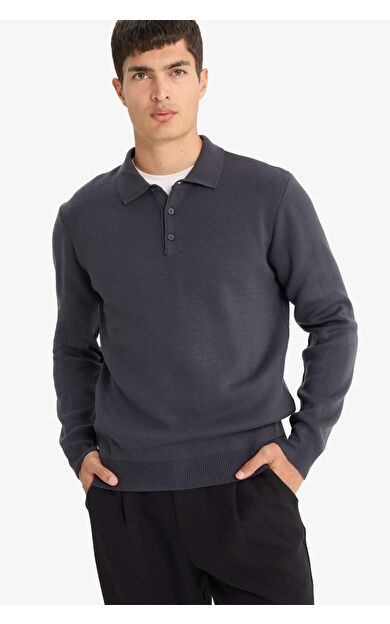 DeFacto Standart Fit Polo Yaka Triko Kazak F1523AX25AUGR308