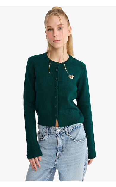 DeFacto Slim Fit Dar Kesim Bisiklet Yaka Hırka