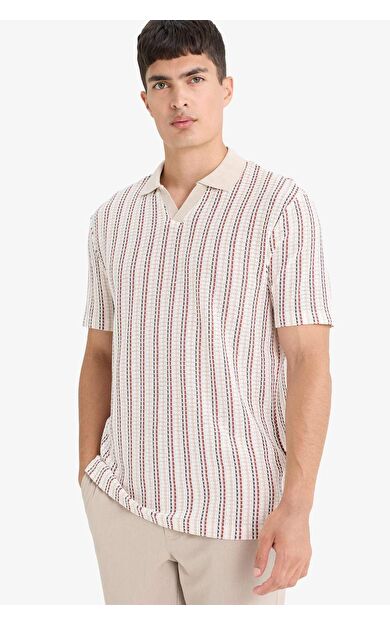 DeFacto Regular Fit Polo Yaka Çizgili Kısa Kollu Tişört