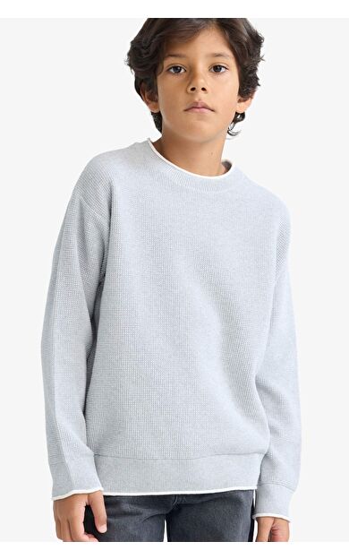 DeFacto Erkek Çocuk Regular Fit Bisiklet Yaka Kazak F2065A825AUGR210