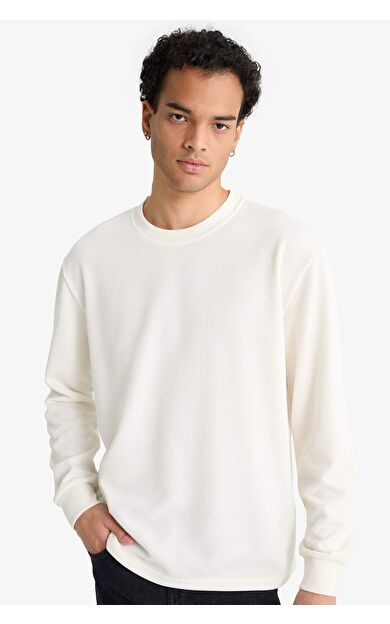 Regular Fit Bisiklet Yaka Uzun Kollu Body F2263AX25AUER140