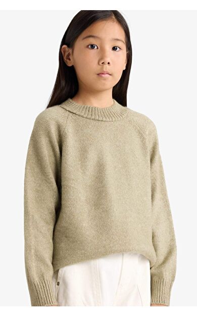 Kız Çocuk Regular Fit Bisiklet Yaka Kazak F2755A825WNGN1110