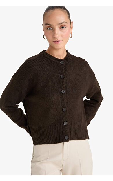 Regular Fit Bisiklet Yaka Düğmeli Triko Hırka