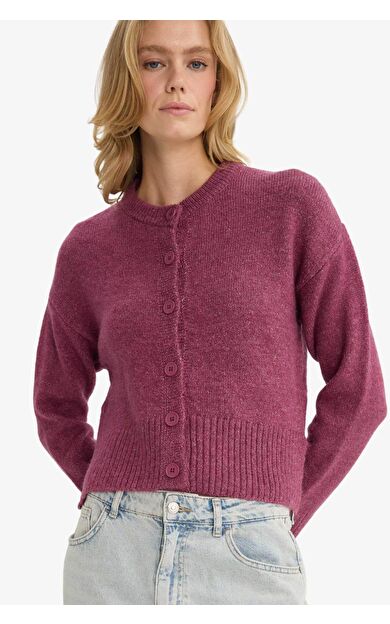 DeFacto Regular Fit Bisiklet Yaka Düğmeli Hırka