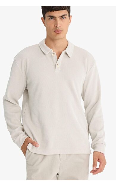 DeFacto Regular Fit Polo Yaka Sweatshirt F3317AX25WNBG766
