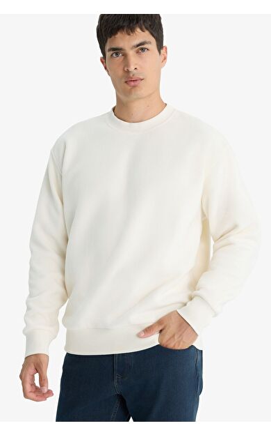 DeFacto Relax Fit Bisiklet Yaka Polar Sweatshirt