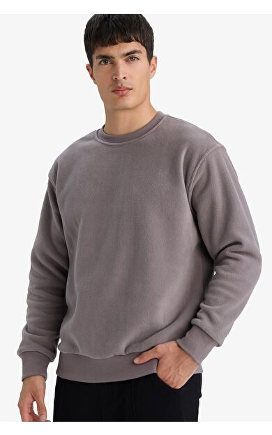 DeFacto Relax Fit Bisiklet Yaka Polar Sweatshirt