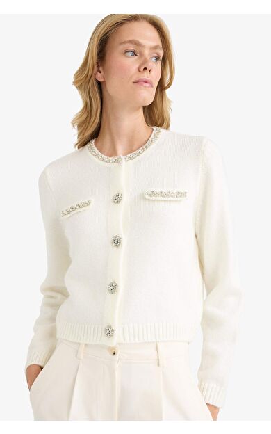 DeFacto Regular Fit Bisiklet Yaka İşlemeli Hırka F3896AX25WNER105