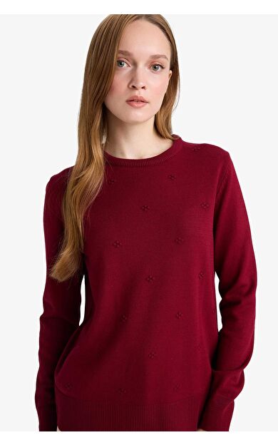 Regular Fit Bisiklet Yaka Triko Kazak F4084AX25WNBR229